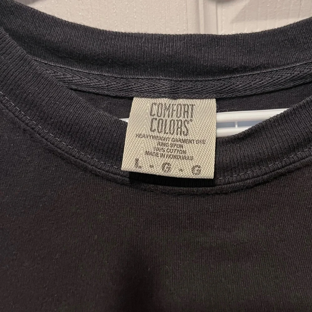 The Blue Stones TEE T-Shirt Comfort Colors Metro North America 2025 Large Men - Picture 3 of 5